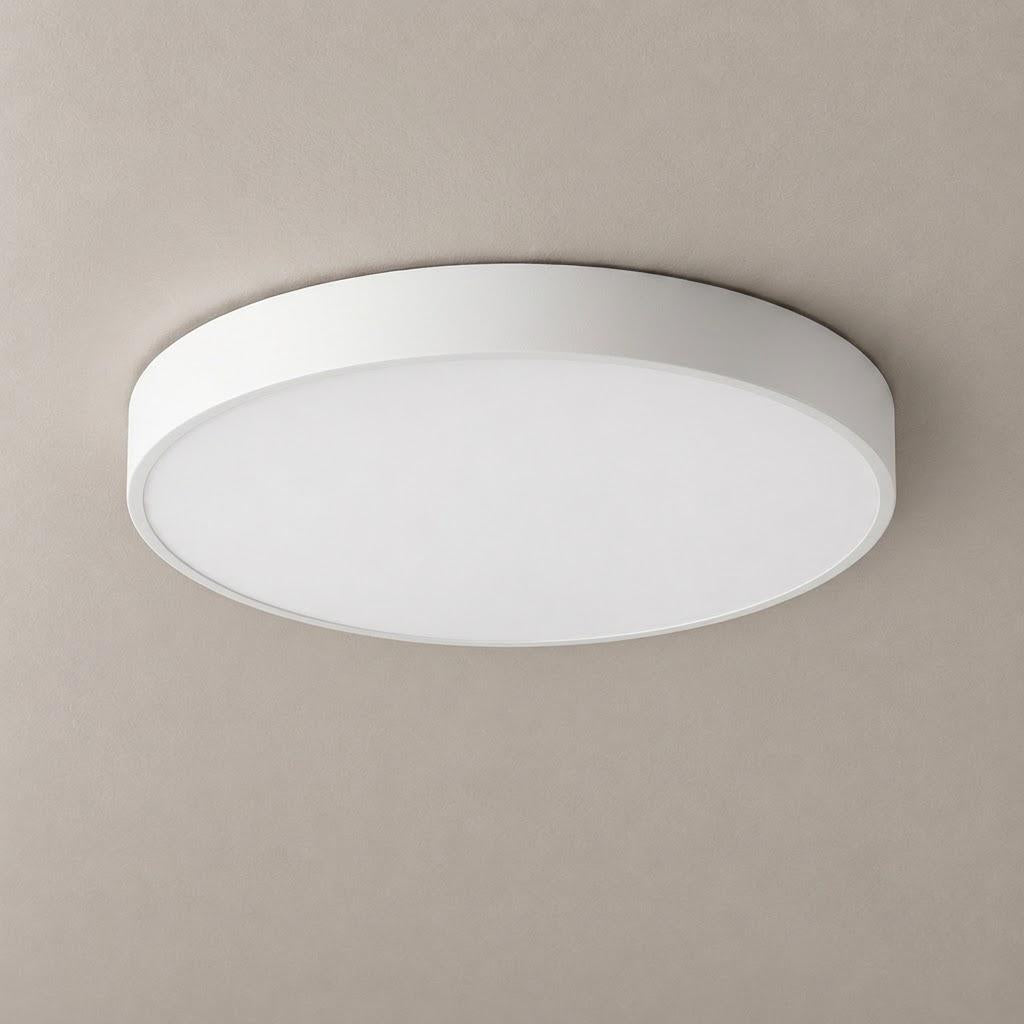 Minimalist Acrylic Disc Flush Mount Ceiling Light