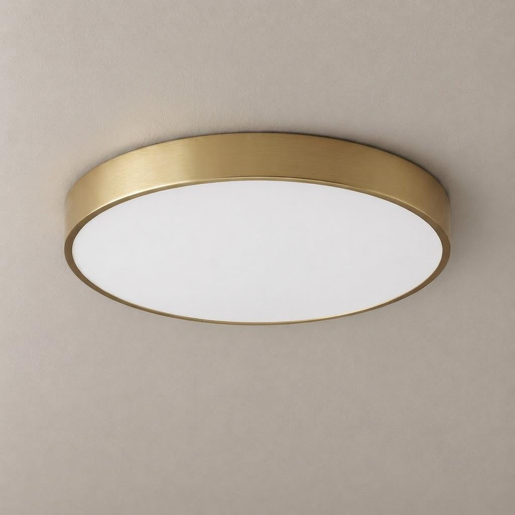 Minimalist Acrylic Disc Flush Mount Ceiling Light