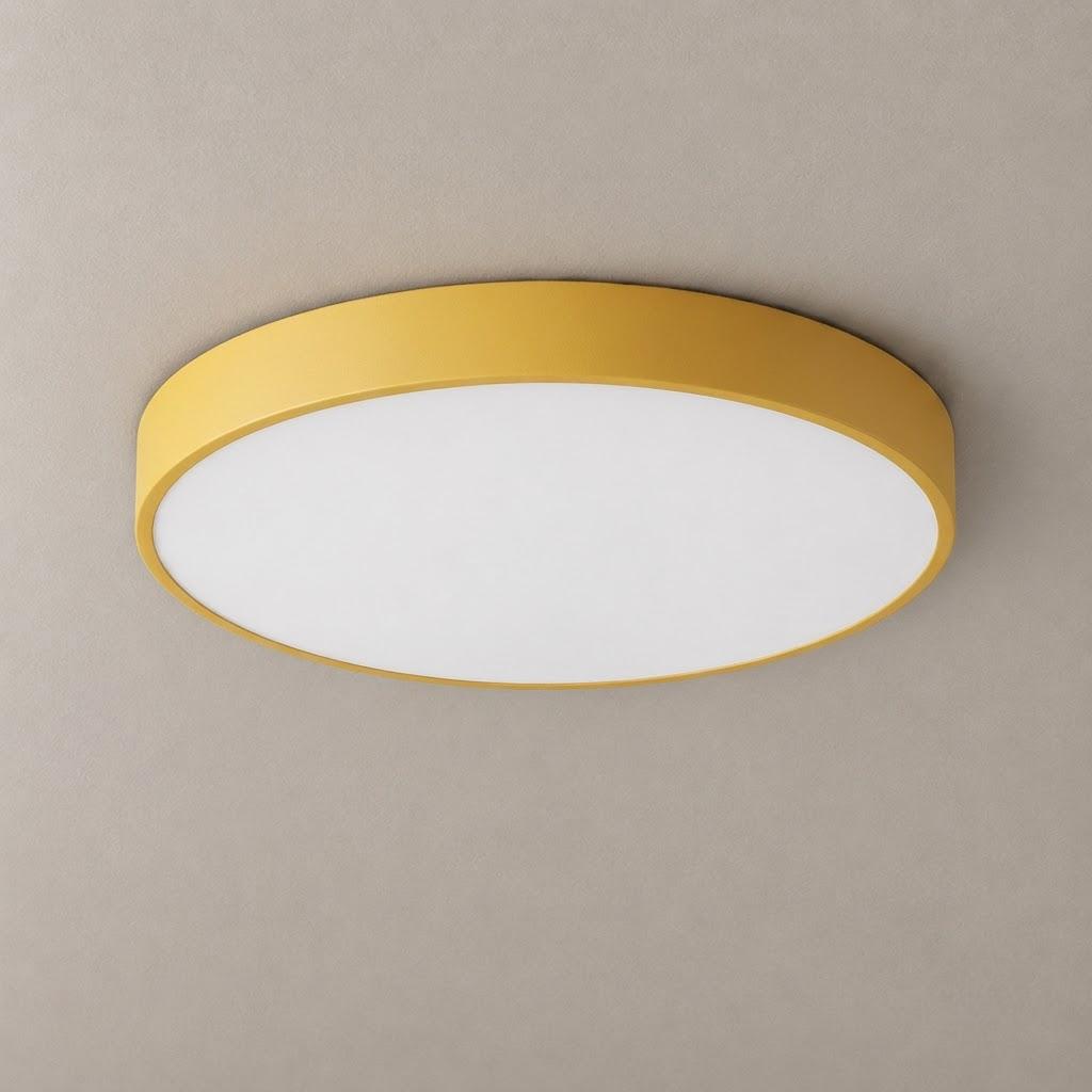 Minimalist Acrylic Disc Flush Mount Ceiling Light