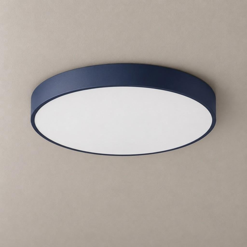 Minimalist Acrylic Disc Flush Mount Ceiling Light