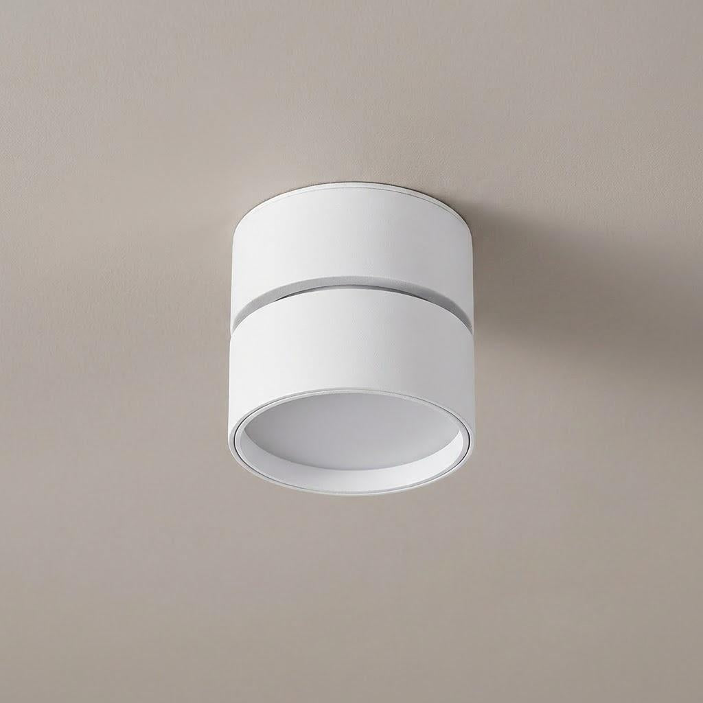 Minimalist Adjustable 4-Inch Cylinder Flush Mount Light