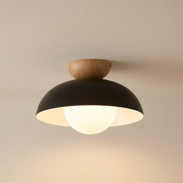 Minimalist Glass Dome Flush Mount Ceiling Light